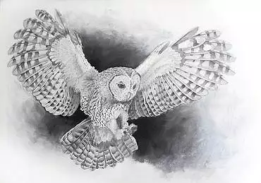 Illustration de "Haniel"