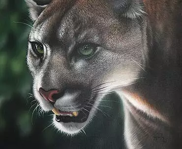 Illustration de "Sheena"