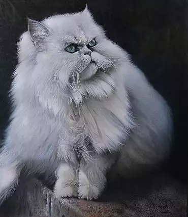 Illustration de "Figaro"