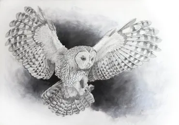 Illustration de "Haniel"
