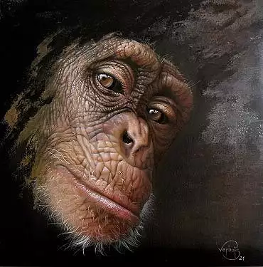 Illustration de "Zira"