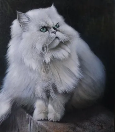 Illustration de "Figaro"