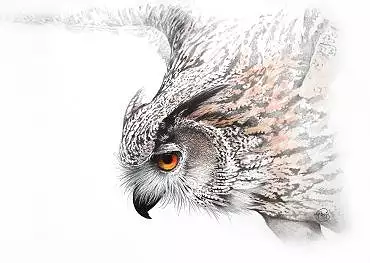 Illustration de "Tattoo"