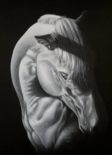 Illustration de "Palma" 