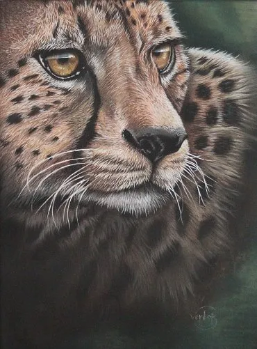 Illustration de "Onyx"