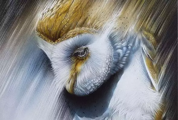 Illustration de Galerie « Hachures »