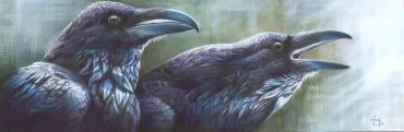 Illustration de "Hugin et Munin"