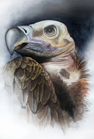 Illustration de "Griffon"