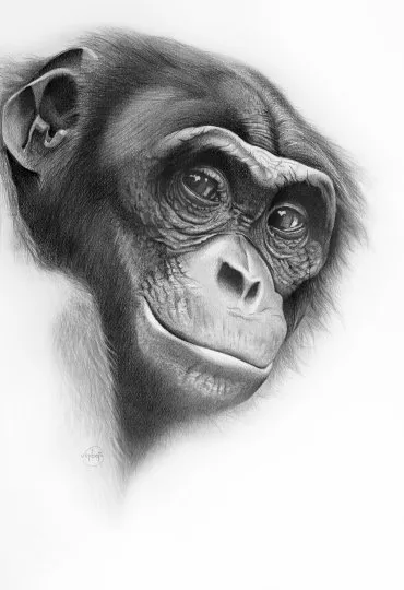 Illustration de "Zéphir"