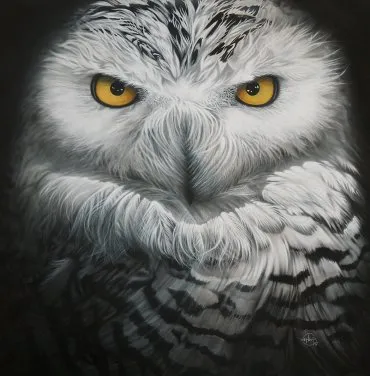 Illustration de "Snowy"