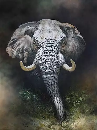 Illustration de "Le grand mâle"