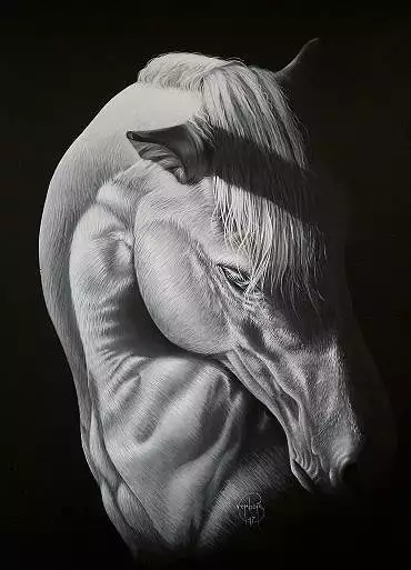 Illustration de "Palma" 