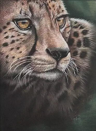 Illustration de "Onyx"