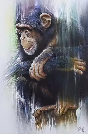Illustration de 