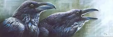 Illustration de "Hugin et Munin"