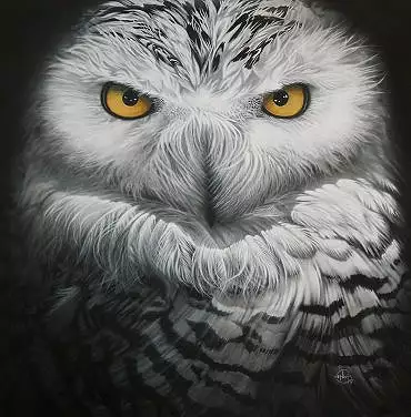 Illustration de "Snowy"