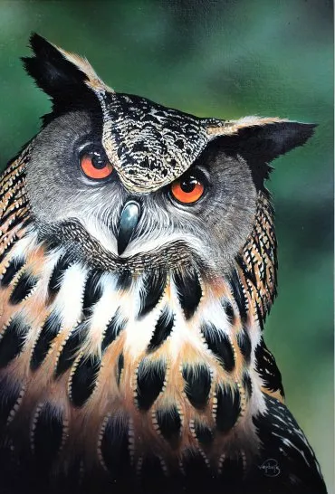 Illustration de "Bubo bubo"