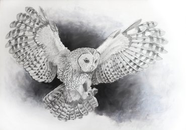 "Haniel"